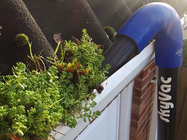 Gutter Cleaning Before